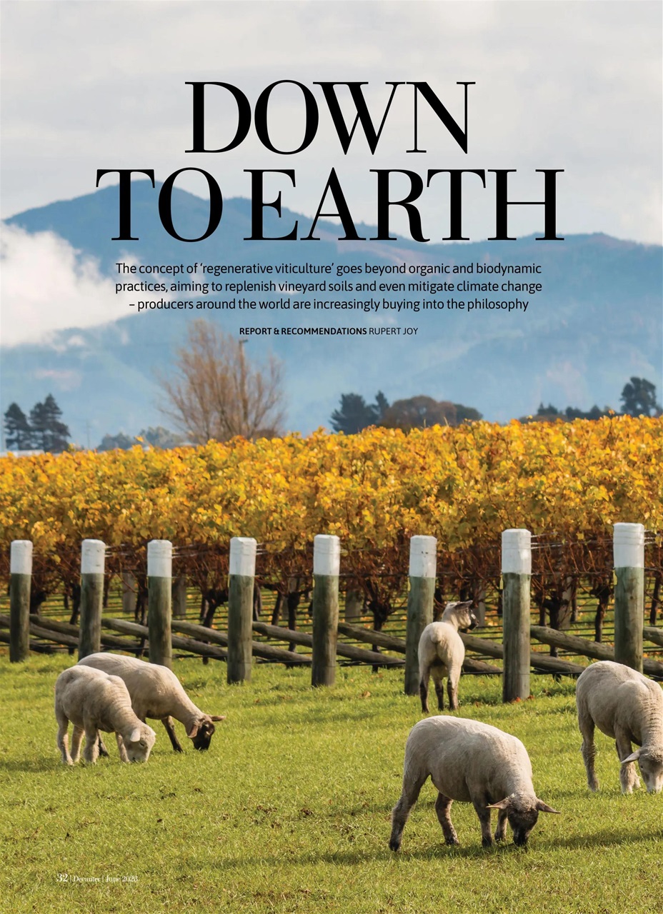 Decanter Preview Pages
