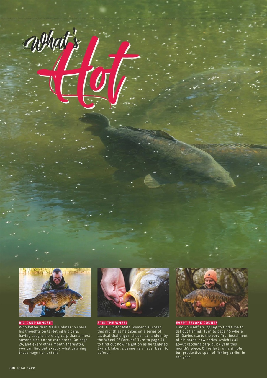 Total Carp Preview Pages