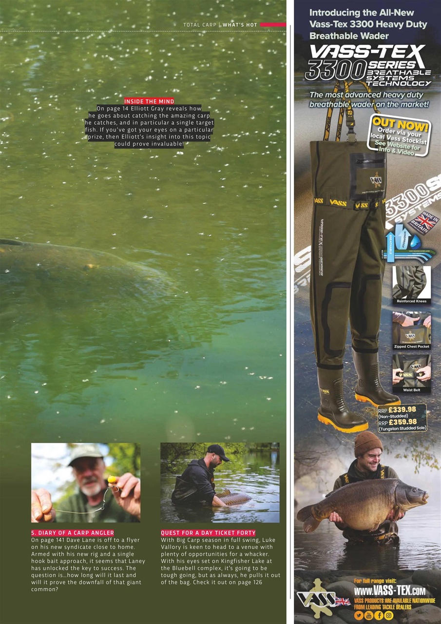 Total Carp Preview Pages