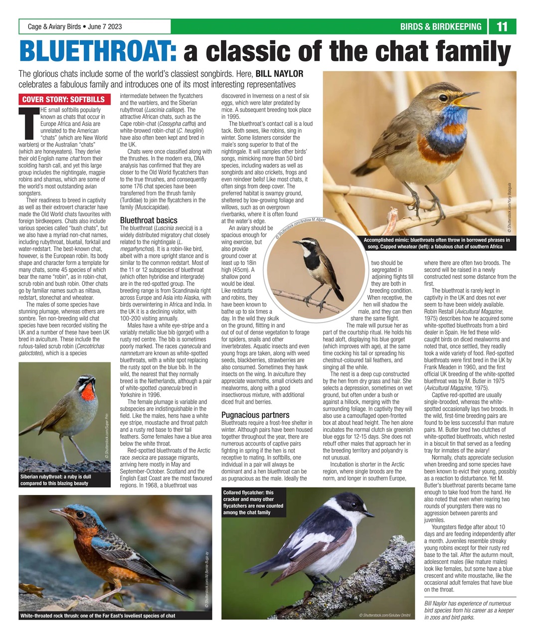 Cage & Aviary Birds Preview Pages