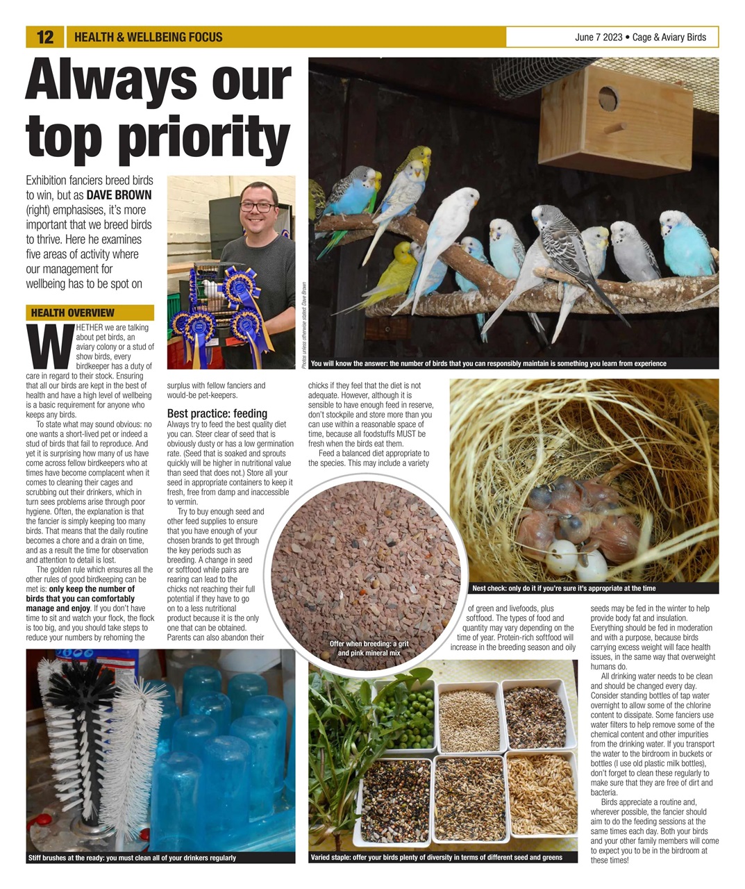 Cage & Aviary Birds Preview Pages