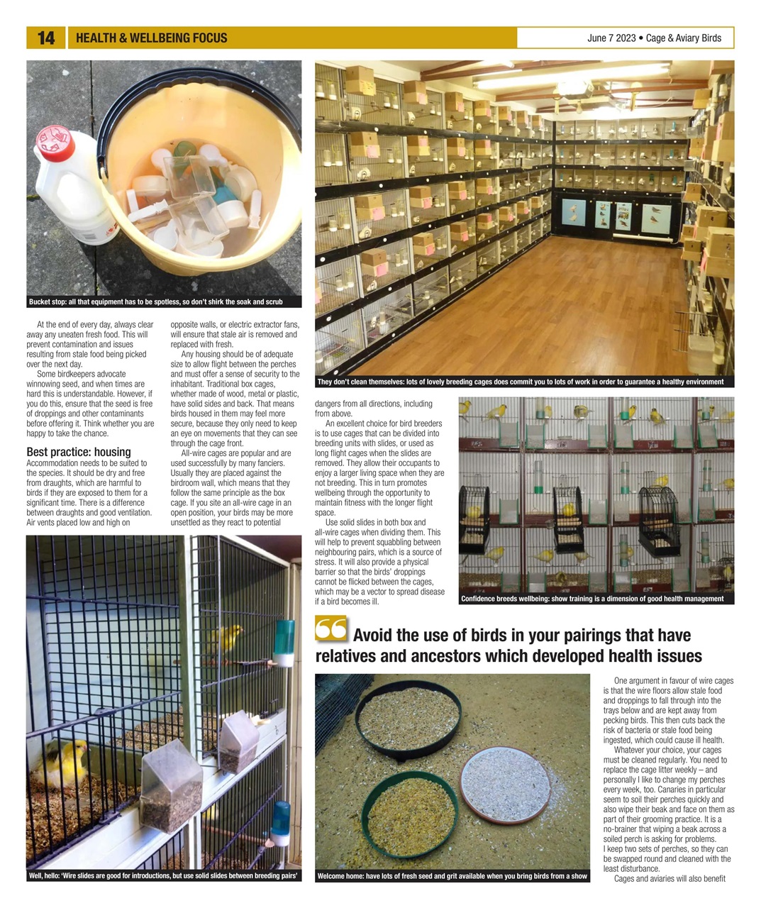 Cage & Aviary Birds Preview Pages