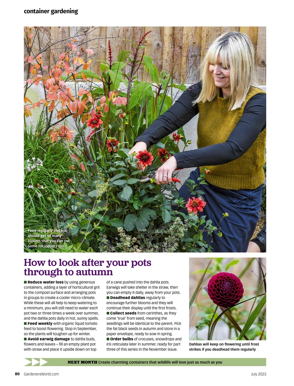 BBC Gardeners’ World Magazine Preview Pages
