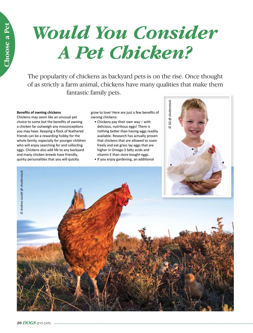 Dogs and Pets Preview Pages