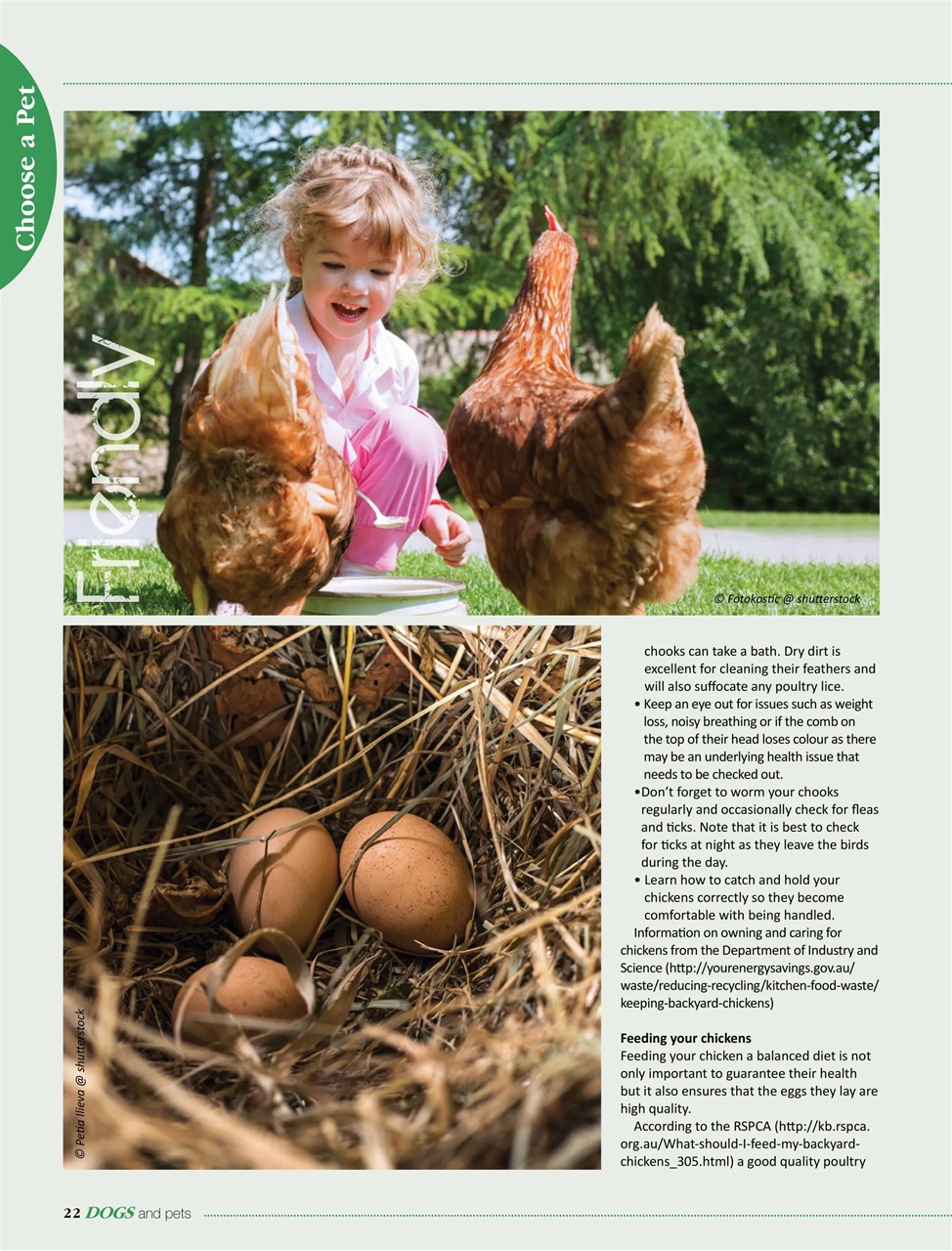 Dogs and Pets Preview Pages