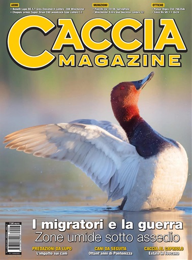 Caccia Magazine issue 
