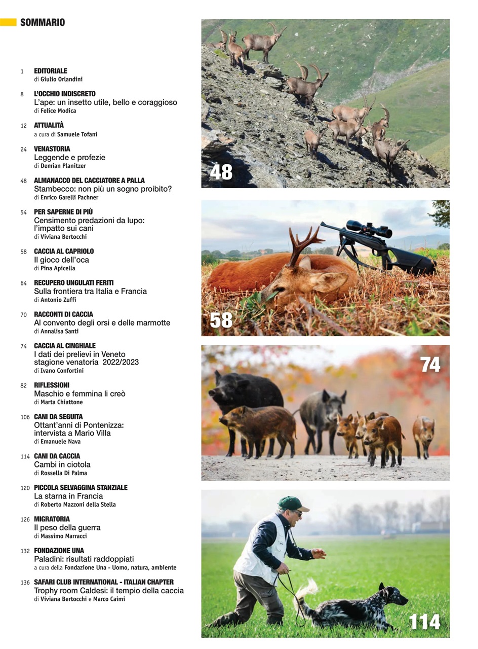 Caccia Magazine Preview Pages