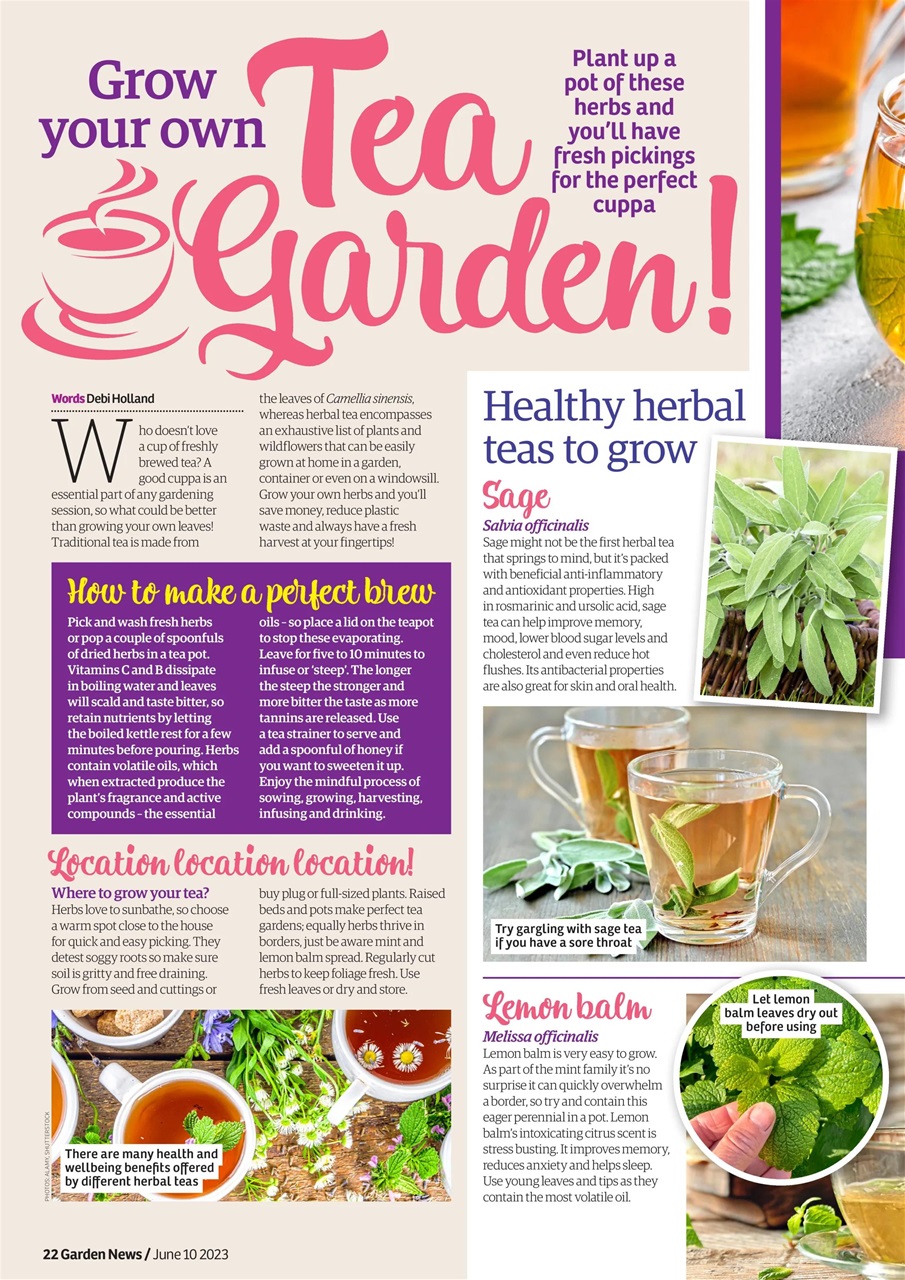 Garden News Preview Pages