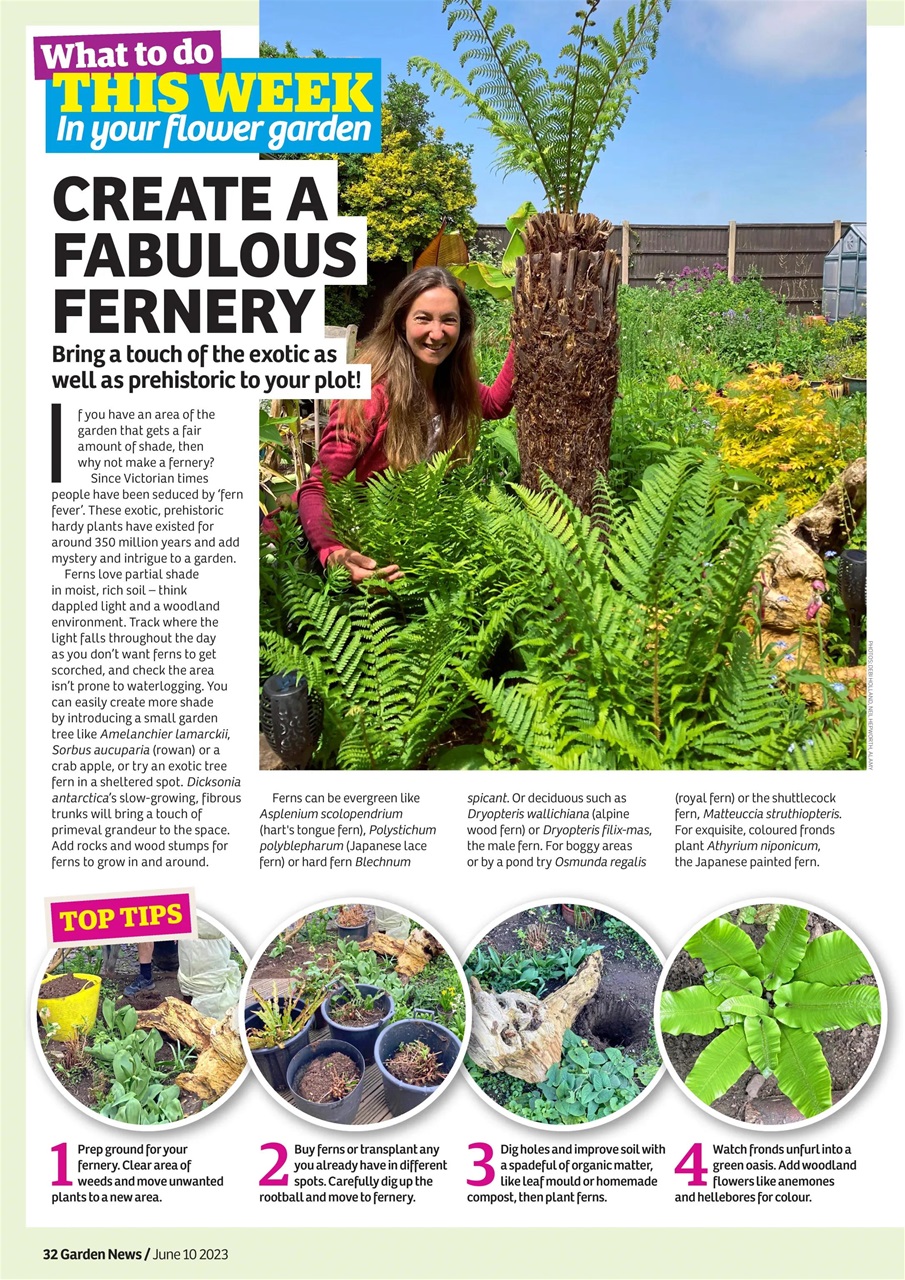 Garden News Preview Pages