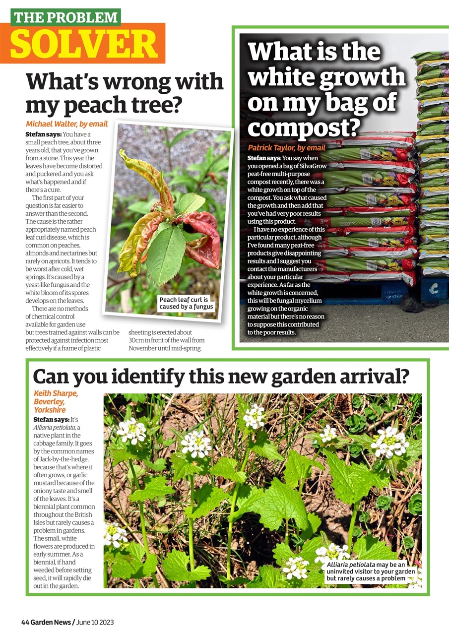 Garden News Preview Pages