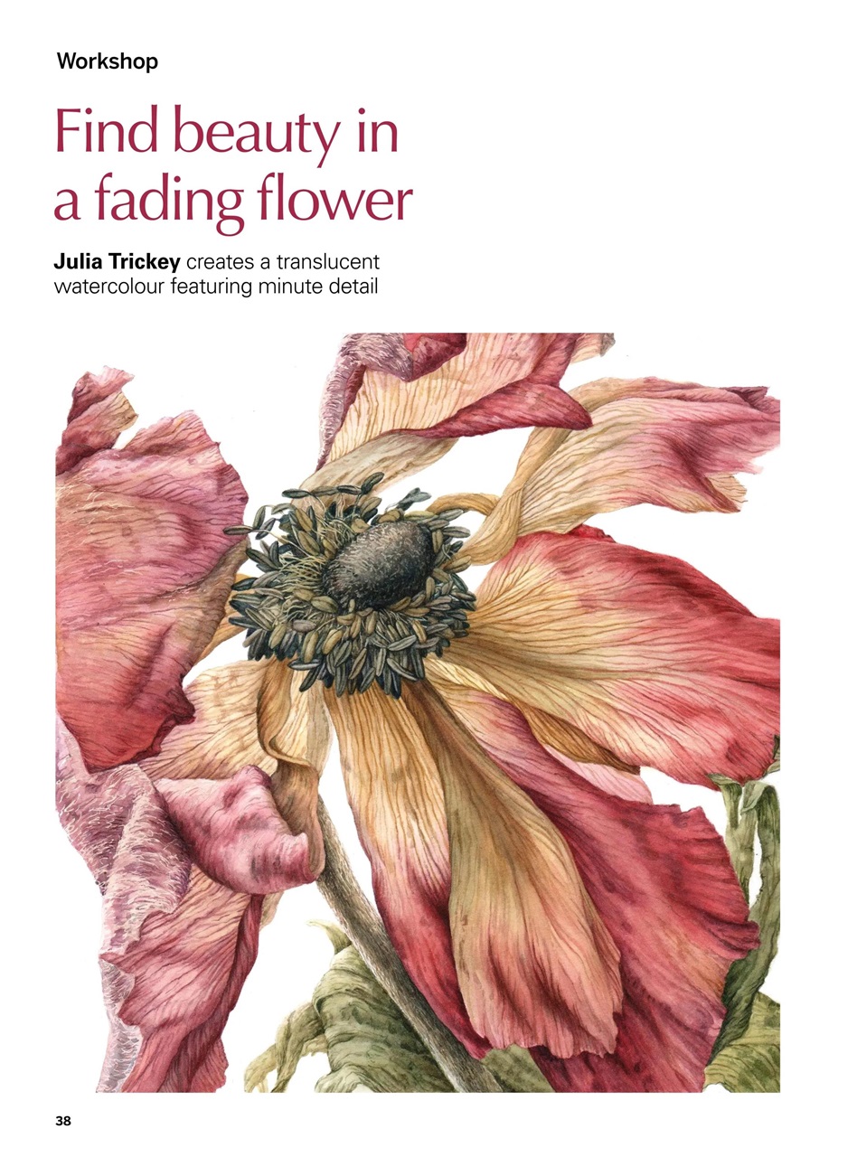 Creative Bookazine Preview Pages