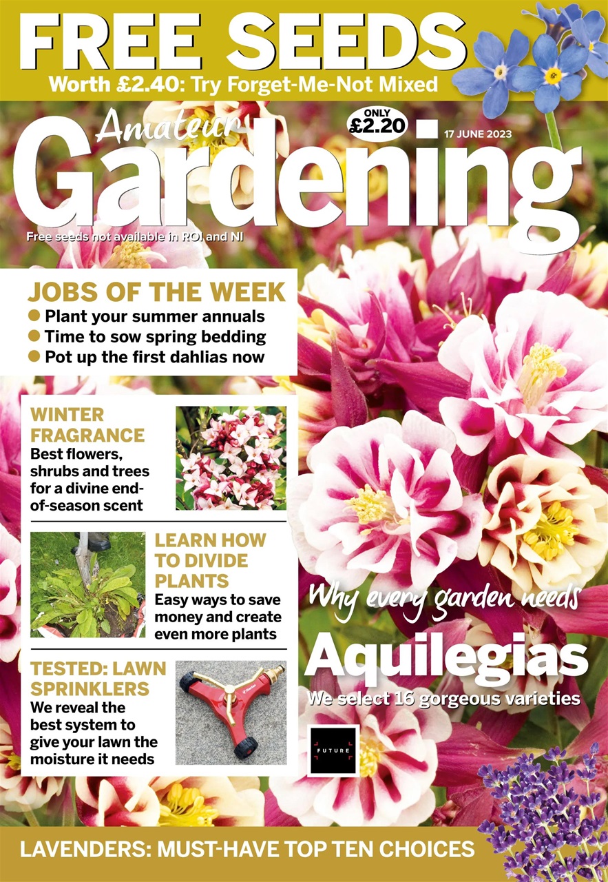 Amateur Gardening Preview Pages