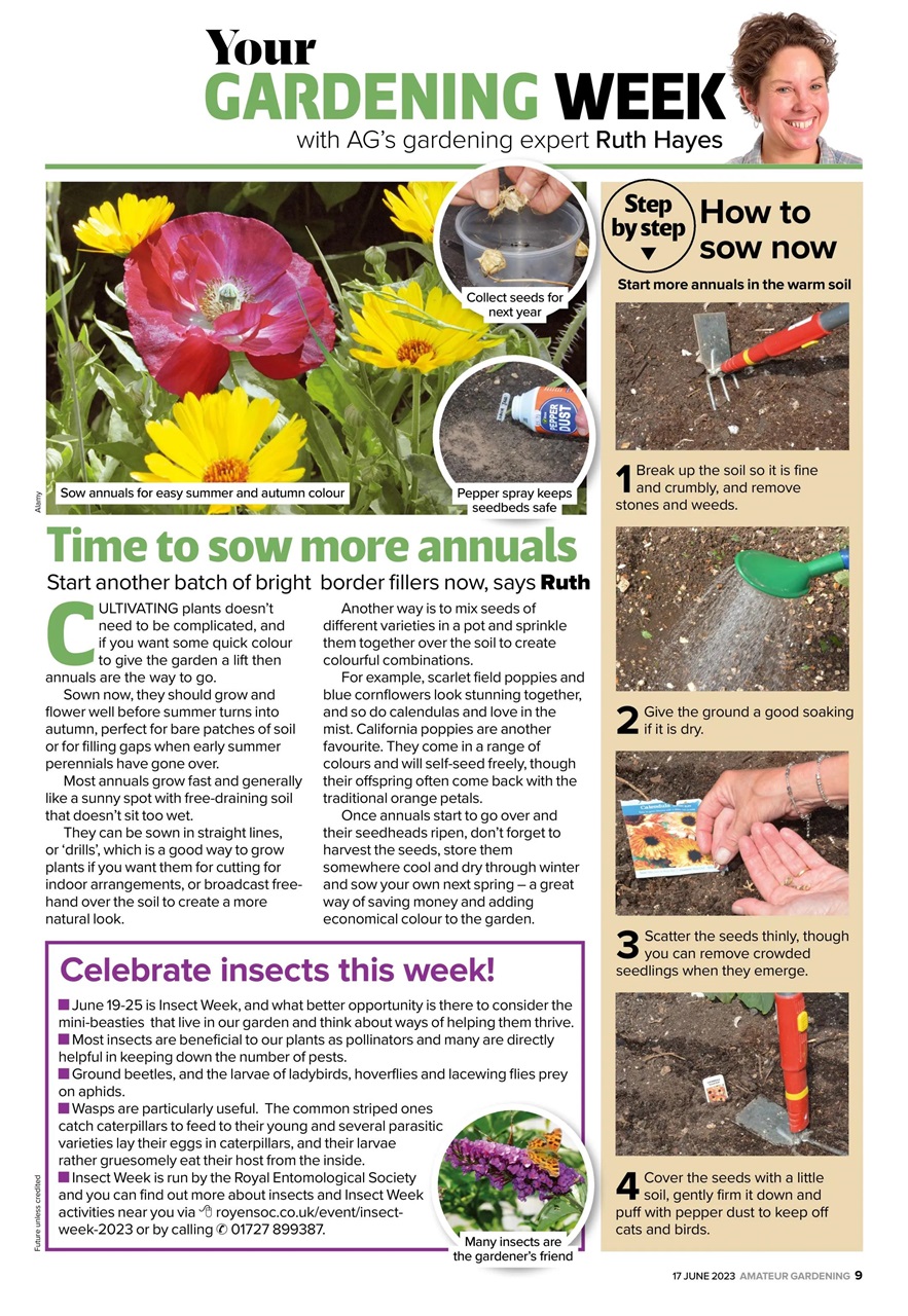 Amateur Gardening Preview Pages