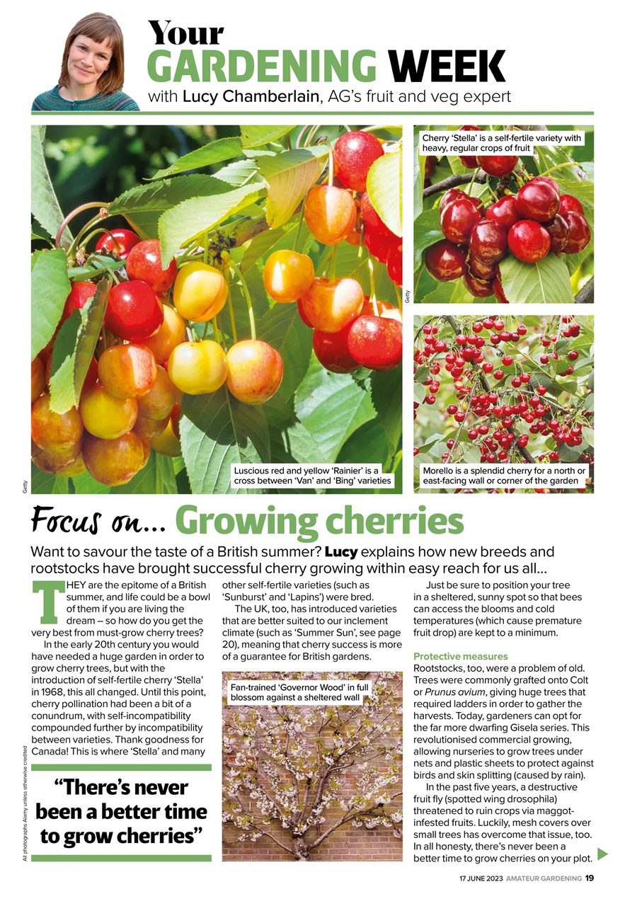 Amateur Gardening Preview Pages