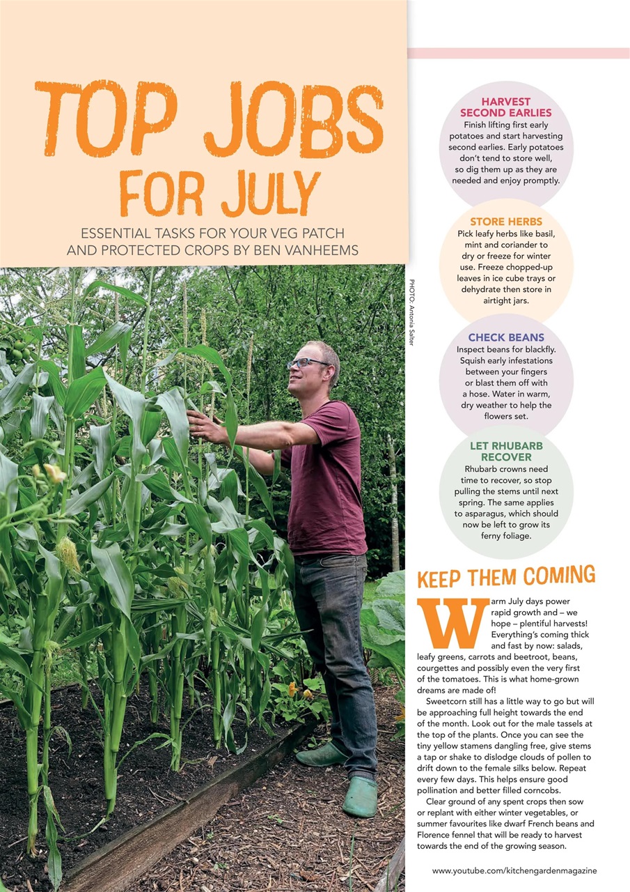 Kitchen Garden Magazine Preview Pages