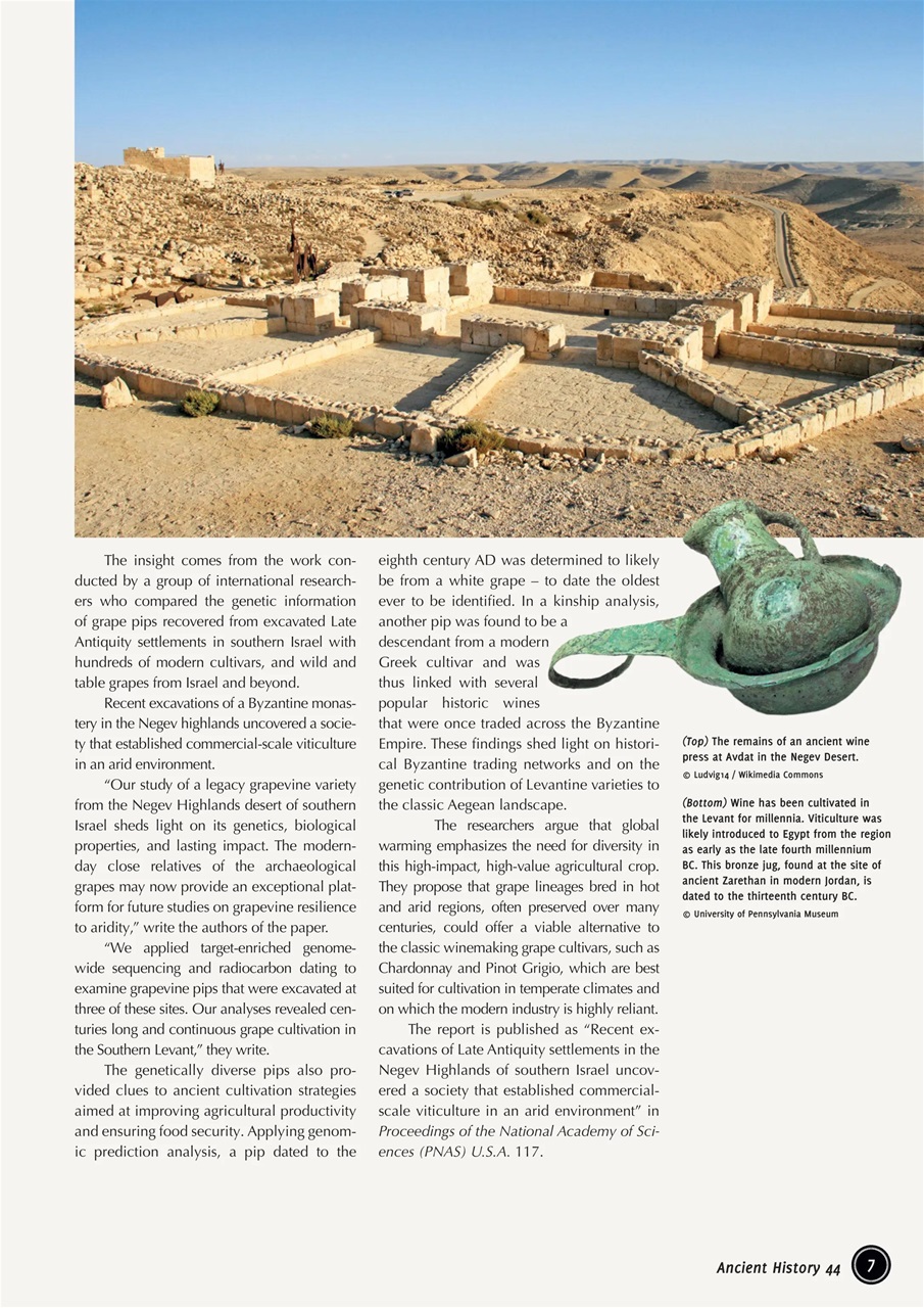 Ancient History Preview Pages