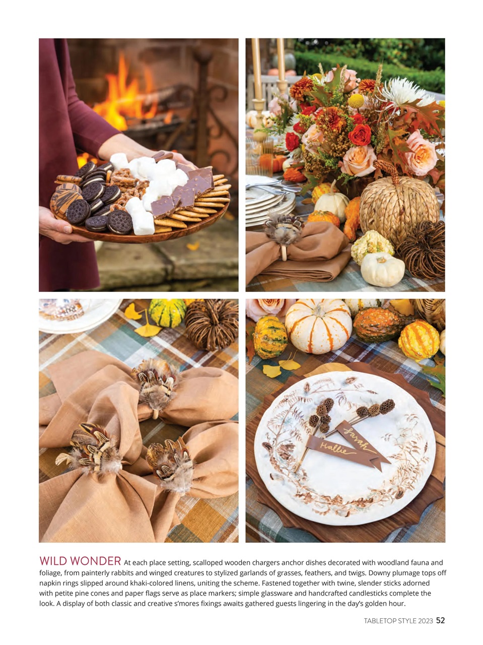 Southern Lady Preview Pages