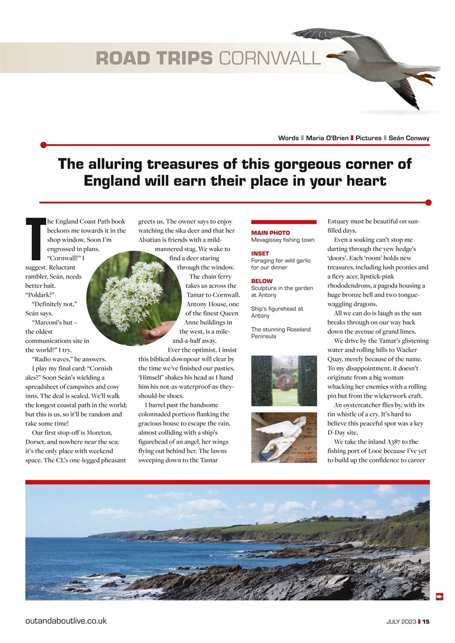 Campervan Preview Pages