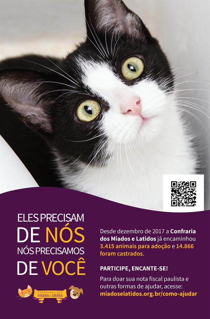 Guia Educando Preview Pages