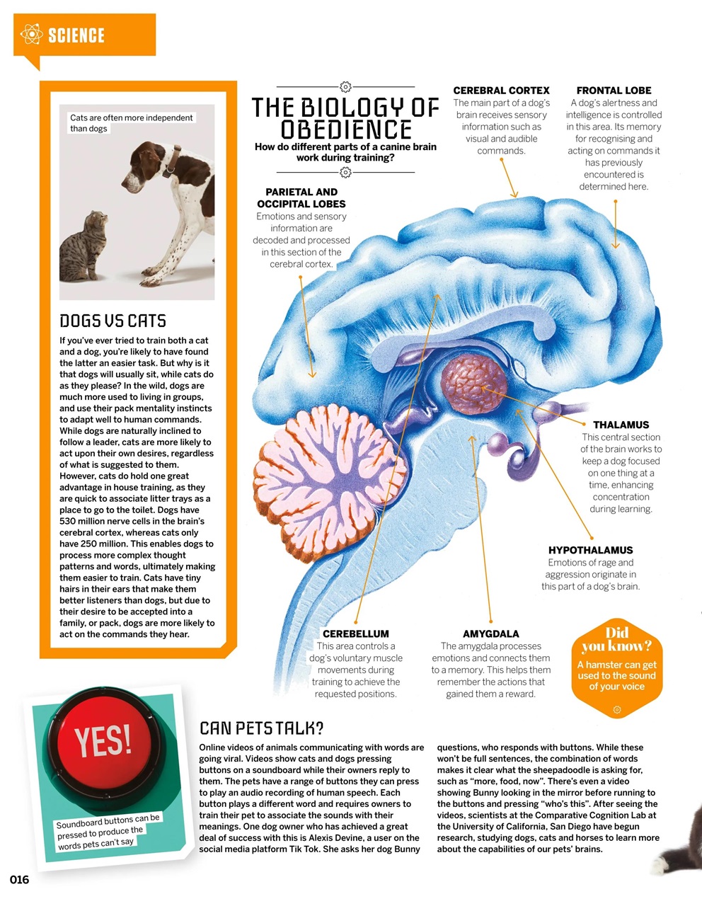 How It Works Bookazine Preview Pages
