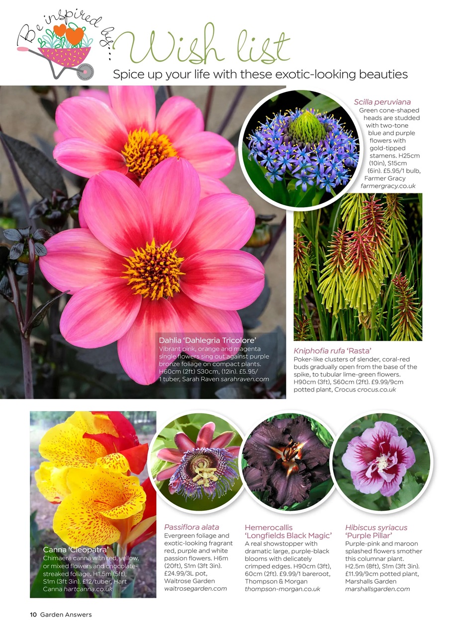 Garden Answers Preview Pages
