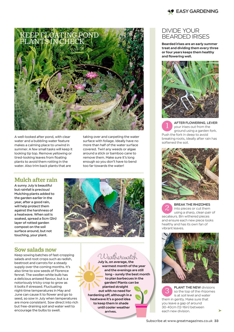 Garden Answers Preview Pages