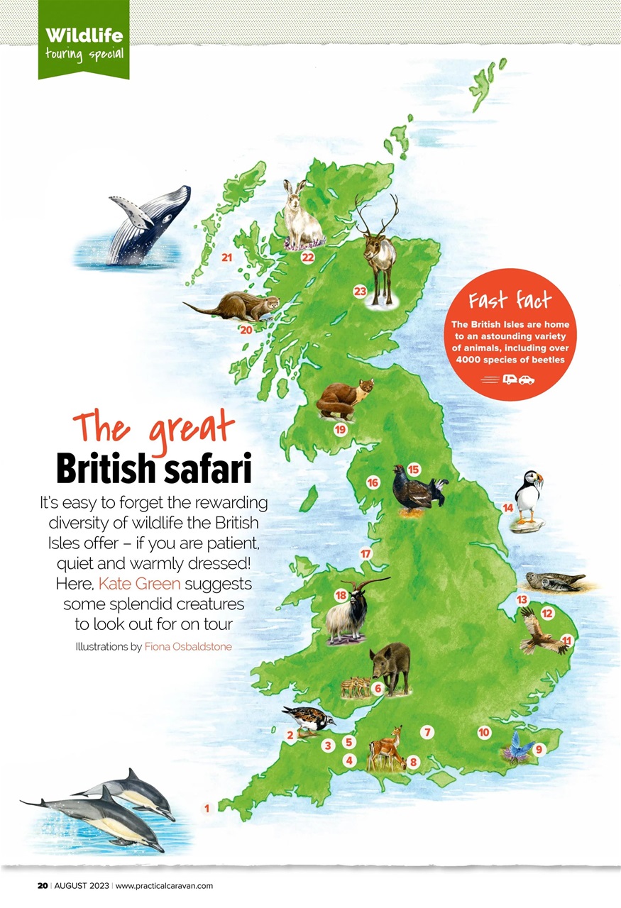 Practical Caravan Preview Pages