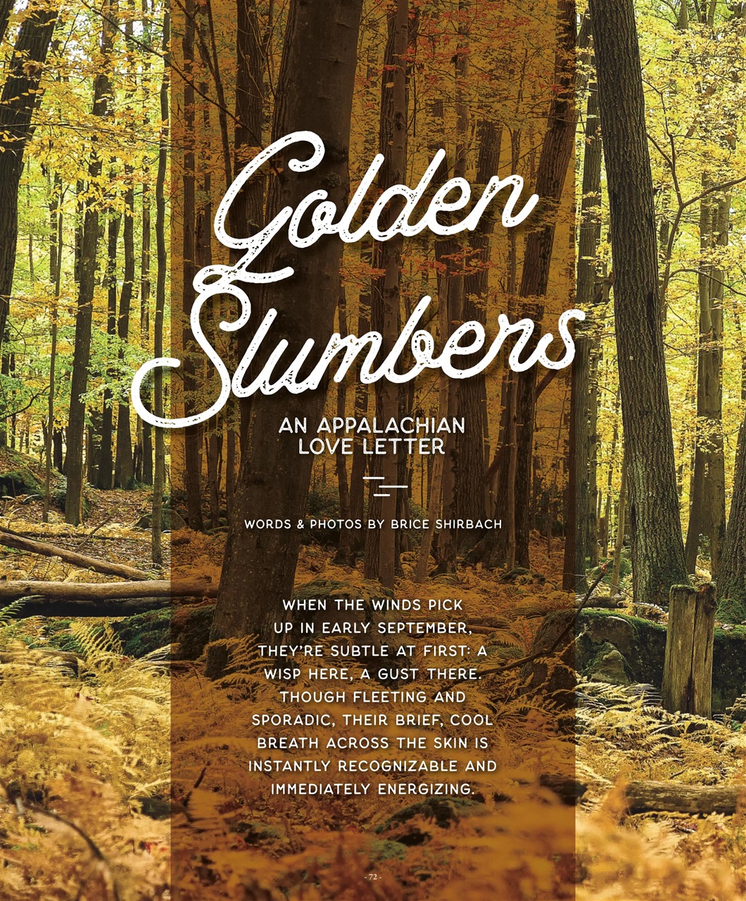 Mountain Flyer Preview Pages