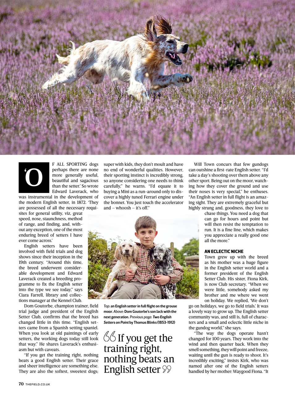 The Field Preview Pages