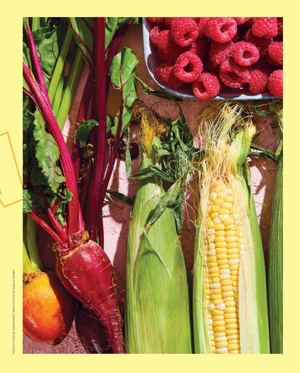 LCBO Food & Drink Preview Pages