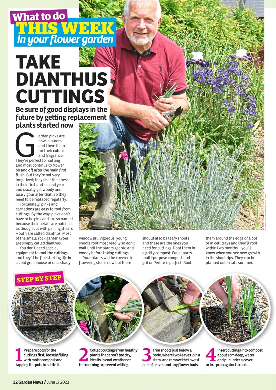 Garden News Preview Pages