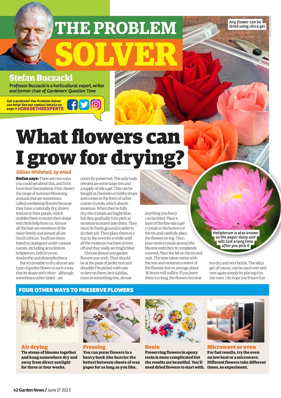 Garden News Preview Pages