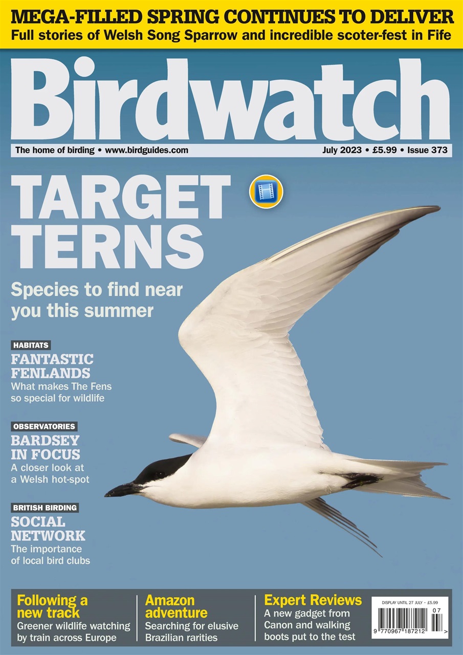 Birdwatch Magazine Preview Pages