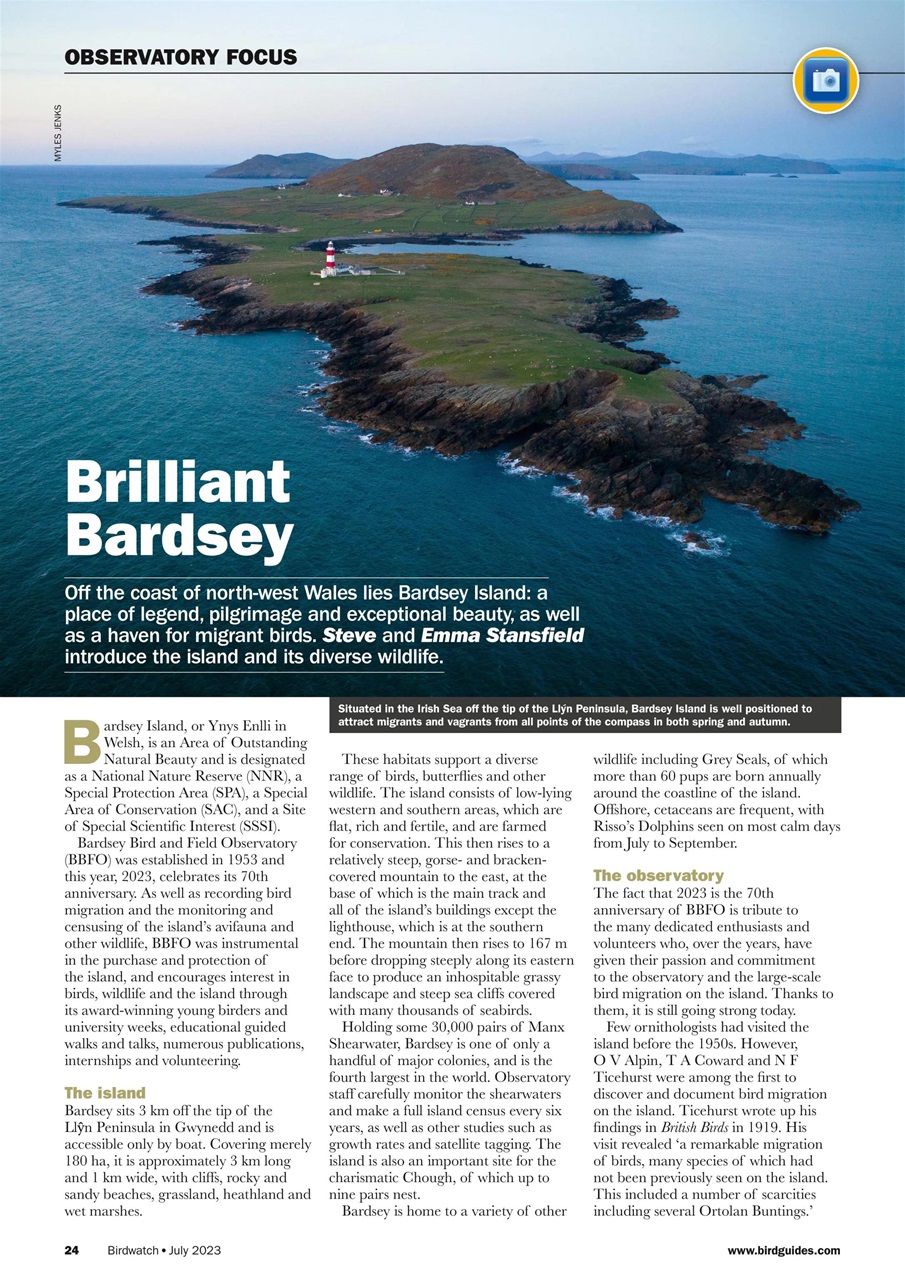 Birdwatch Magazine Preview Pages