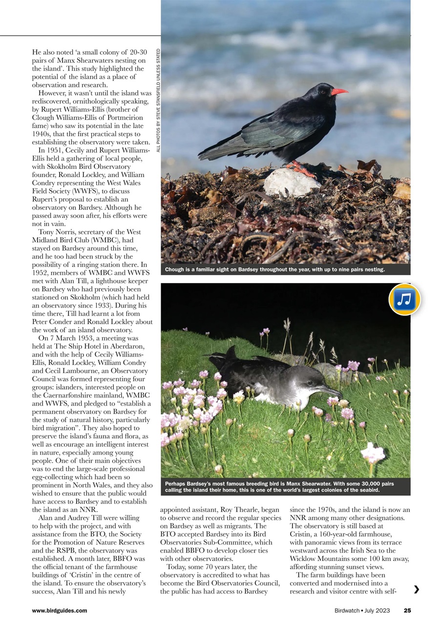 Birdwatch Magazine Preview Pages