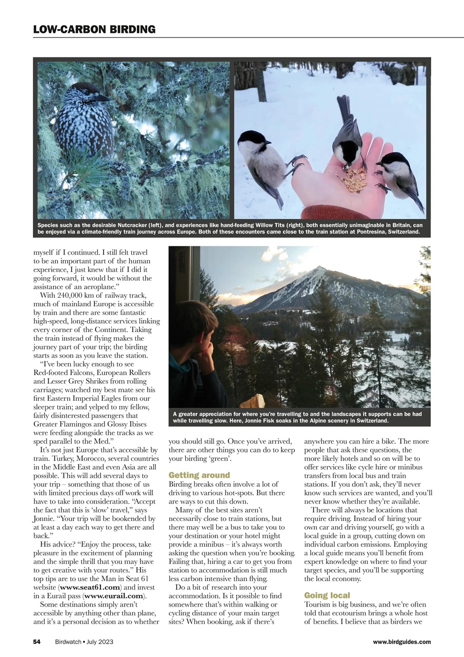 Birdwatch Magazine Preview Pages