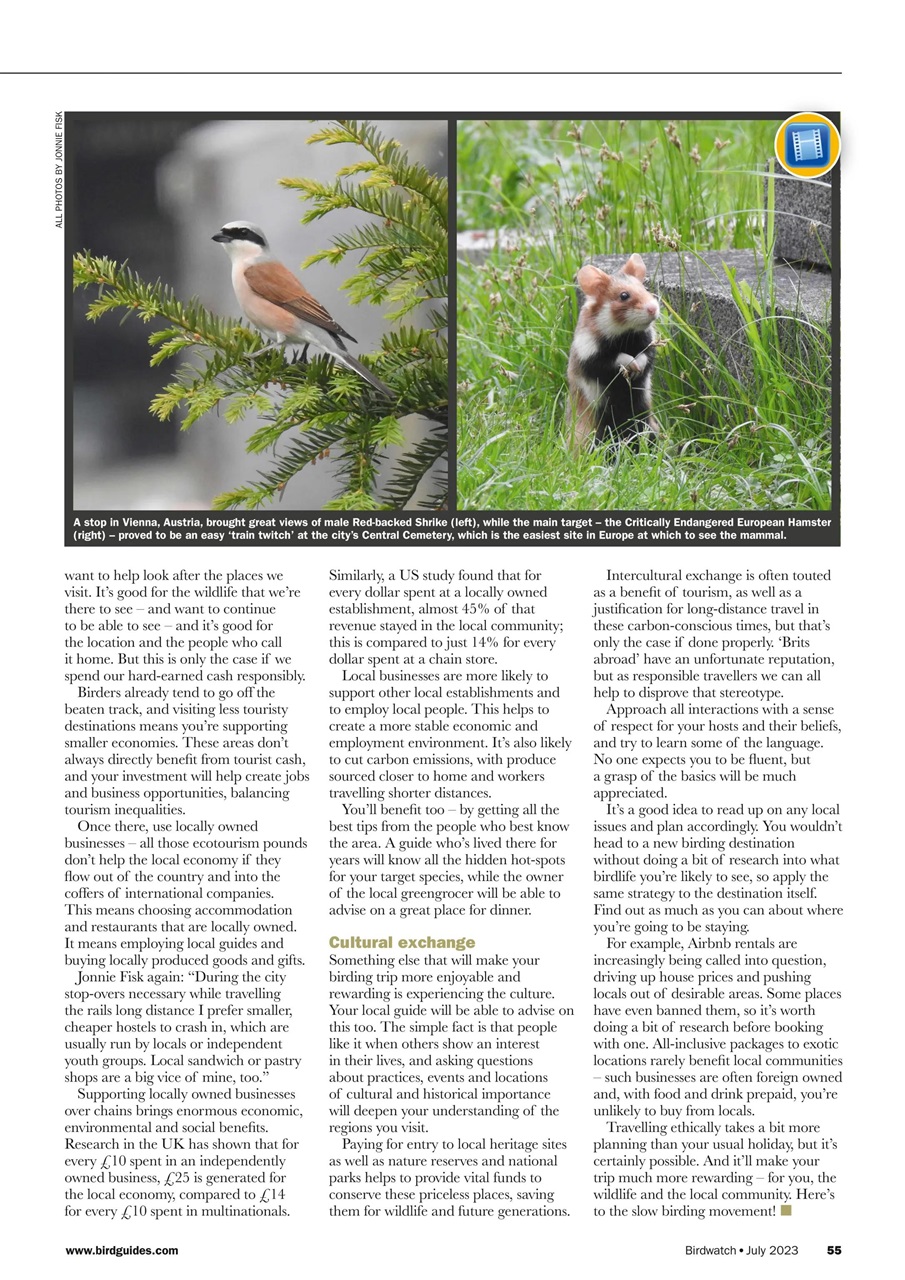 Birdwatch Magazine Preview Pages