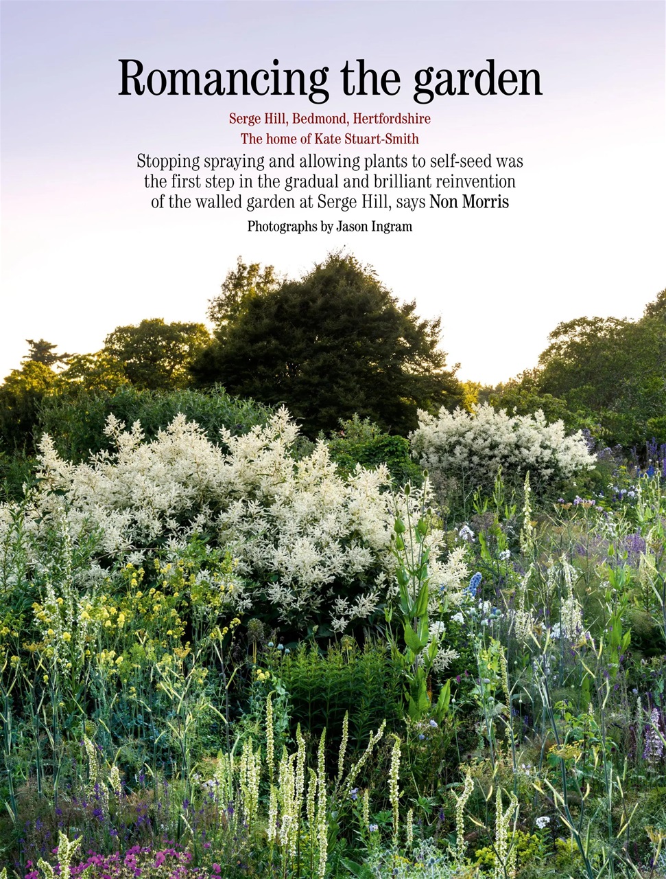 Country Life Preview Pages