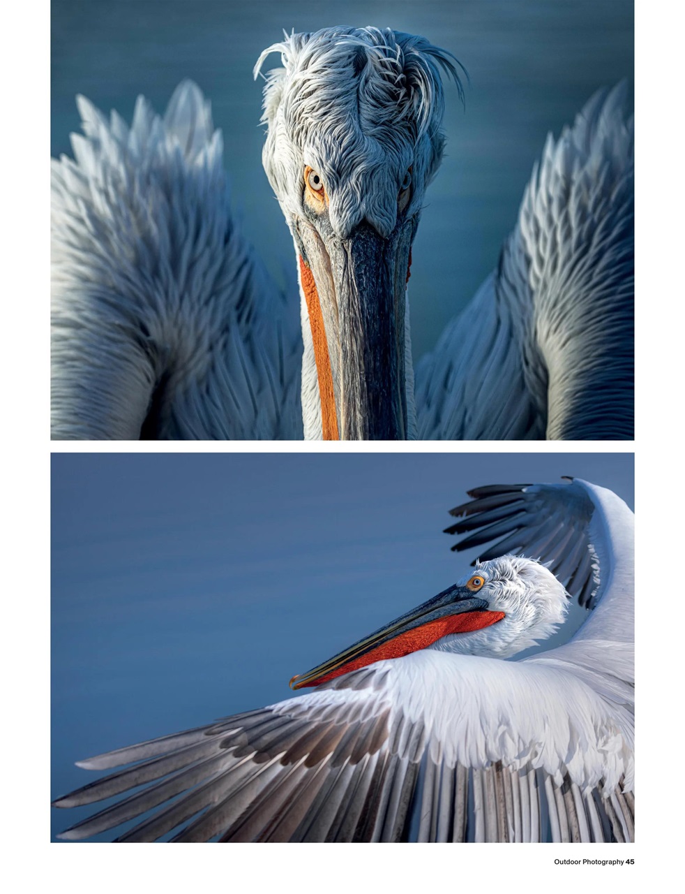 Outdoor Photography Preview Pages