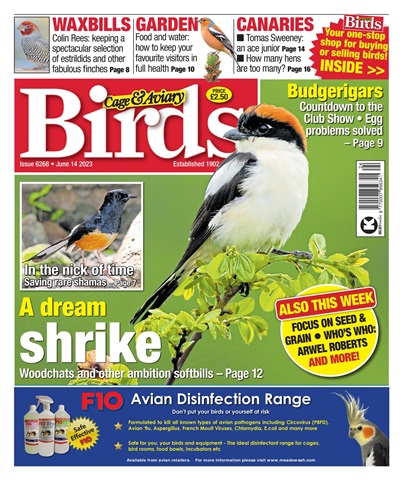 Cage & Aviary Birds issue 14-Jun-23