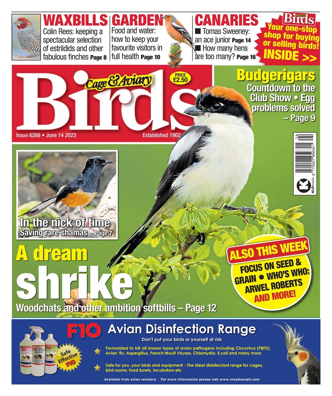 Cage & Aviary Birds Preview Pages