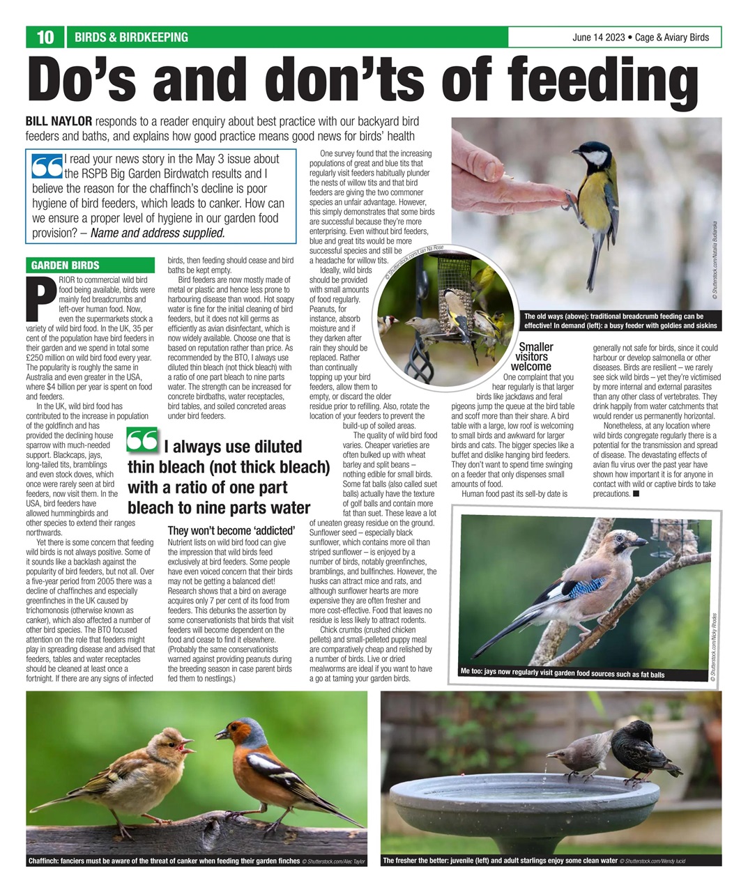 Cage & Aviary Birds Preview Pages