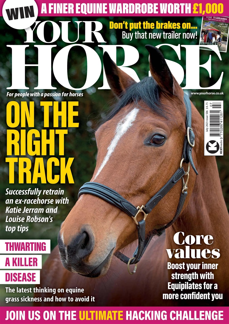 Your Horse Preview Pages