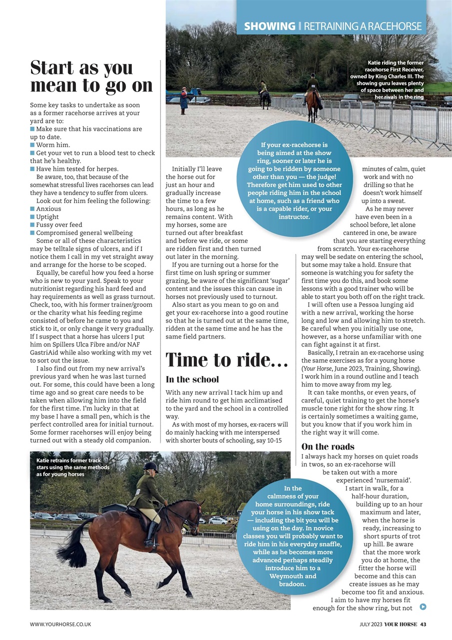 Your Horse Preview Pages