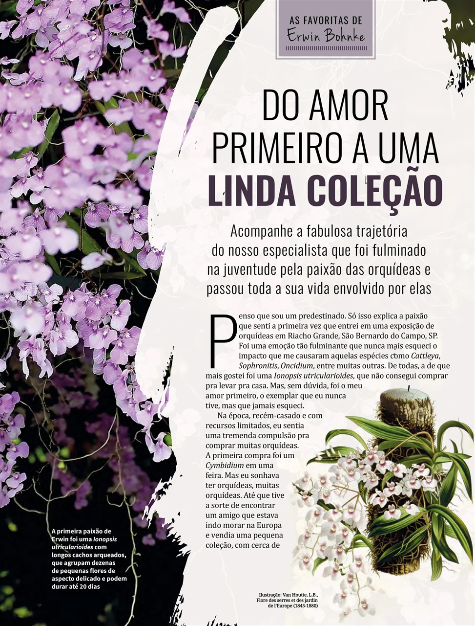 Natureza Preview Pages