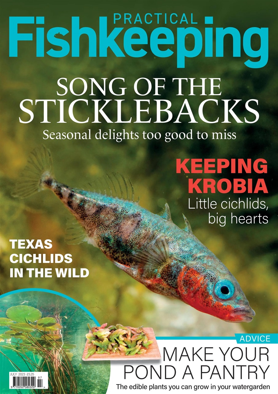 Practical Fishkeeping Preview Pages