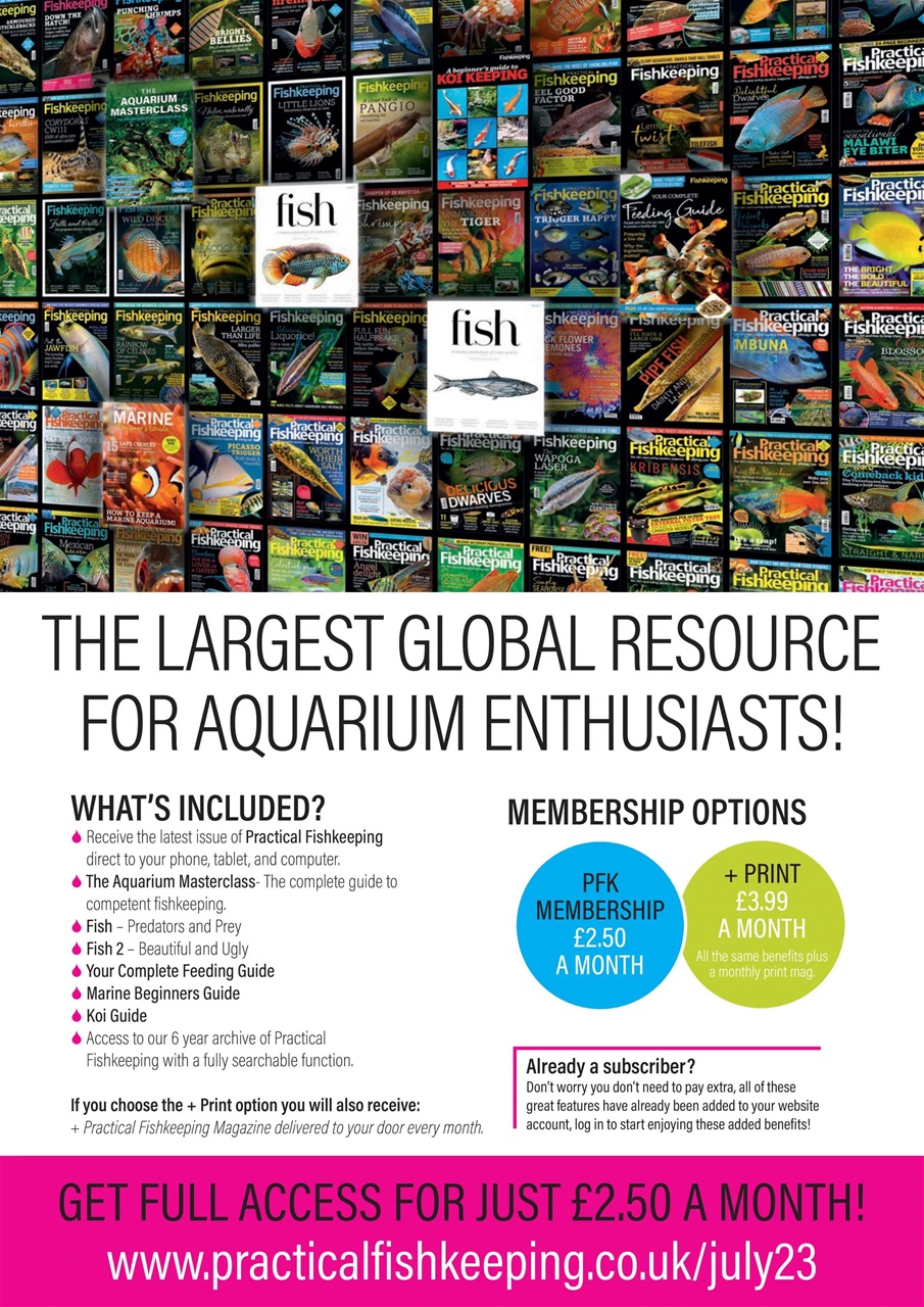 Practical Fishkeeping Preview Pages