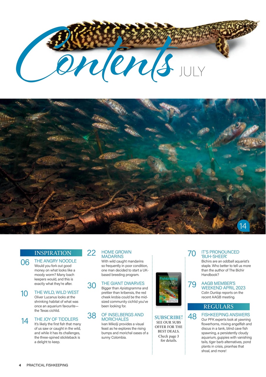 Practical Fishkeeping Preview Pages