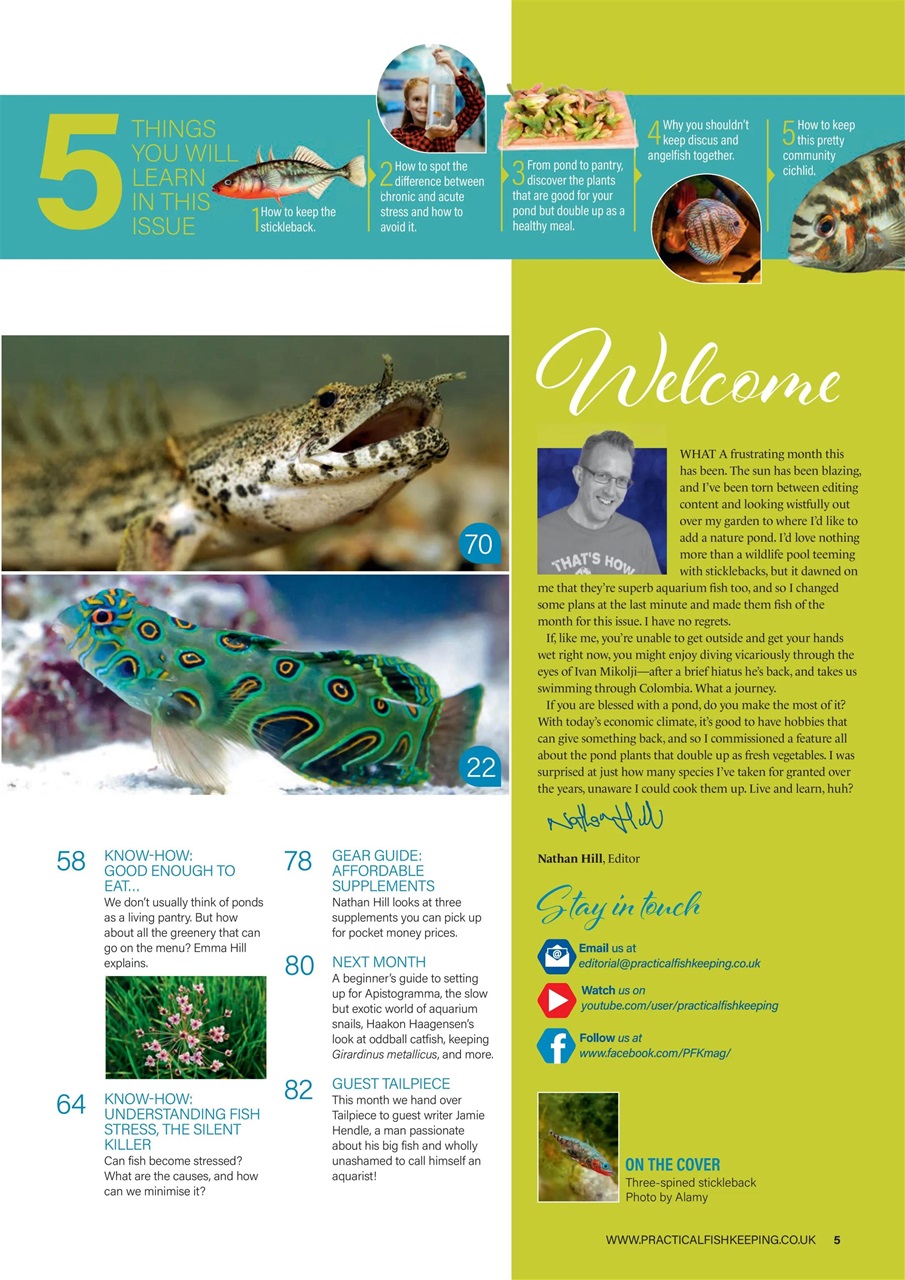 Practical Fishkeeping Preview Pages