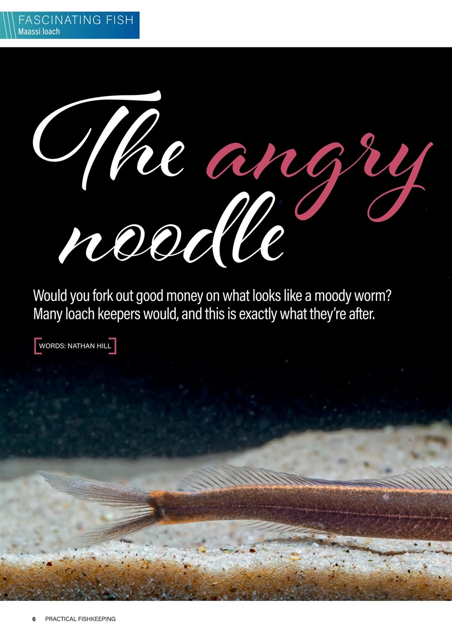 Practical Fishkeeping Preview Pages